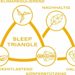 GELTEX TFK-Matratze Quantum Pure 200 -Maison Verkaufsgeschäft FJPG S700 1306