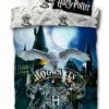 Bettwäsche Harry Potter 135 X 200 Cm 2 Bettwäsche Harry Potter 135 X 200 Cm -Maison Verkaufsgeschäft FJPG S700 1867