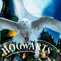 Bettwäsche Harry Potter 135 X 200 Cm 5 Bettwäsche Harry Potter 135 X 200 Cm -Maison Verkaufsgeschäft FJPG S700 1868