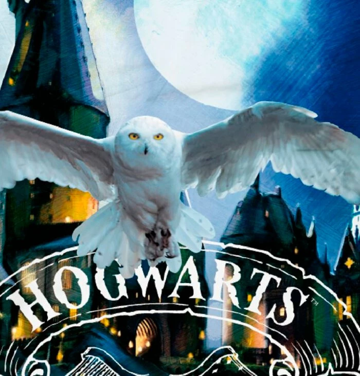 Bettwäsche Harry Potter 135 X 200 Cm 4 Bettwäsche Harry Potter 135 X 200 Cm – Bild 2