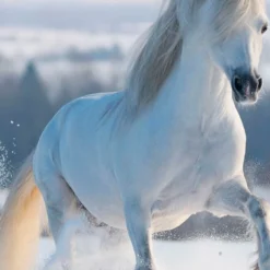 Bettwäsche Good Morning 135 X 200 Cm 13 Bettwäsche Good Morning 135 X 200 Cm -Maison Verkaufsgeschäft FJPG S700 1874