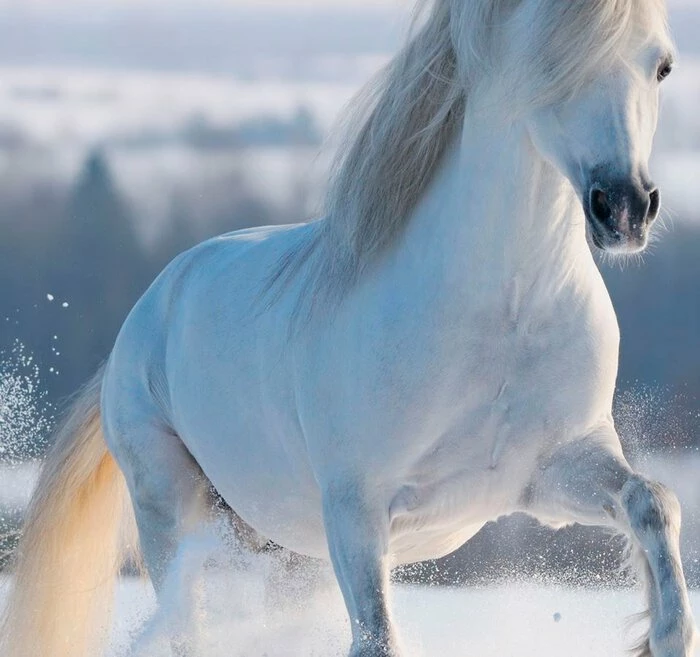 Bettwäsche Good Morning 135 X 200 Cm 8 Bettwäsche Good Morning 135 X 200 Cm – Bild 6