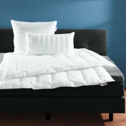 Kopfkissen Aqua Aktiv 40 X 80 Cm 5 Kopfkissen Aqua Aktiv 40 X 80 Cm -Maison Verkaufsgeschäft FJPG S700 2407