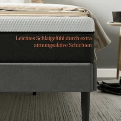 Taschenfederkernmatratze Emma 25 Federkern -Maison Verkaufsgeschäft FJPG S700 885