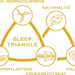 GELTEX Gelschaummatratze Quantum 180 -Maison Verkaufsgeschäft FJPG S700 977